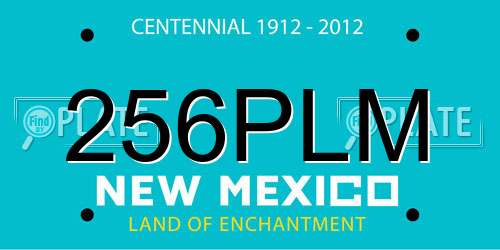 256PLM New Mexico License Plate
