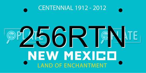 256RTN New Mexico License Plate