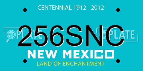 256SNC New Mexico License Plate