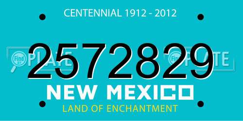 2572829 New Mexico License Plate