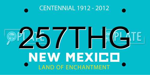 257THG New Mexico License Plate