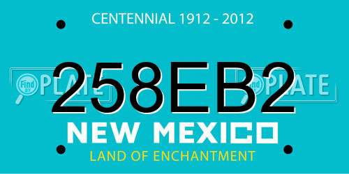 258EB2 New Mexico License Plate