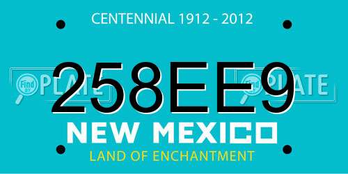 258EE9 New Mexico License Plate