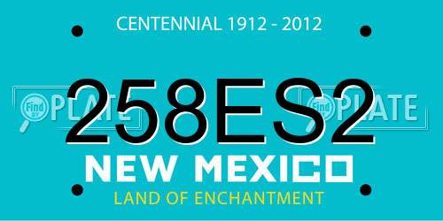 258ES2 New Mexico License Plate