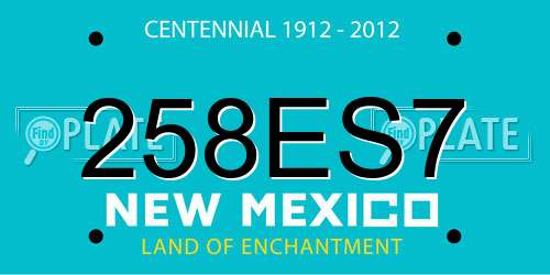 258ES7 New Mexico License Plate