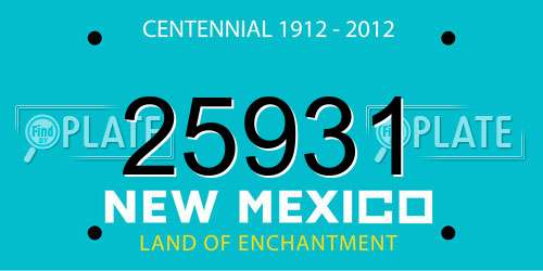 25931 New Mexico License Plate