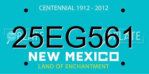 25EG561 New Mexico License Plate