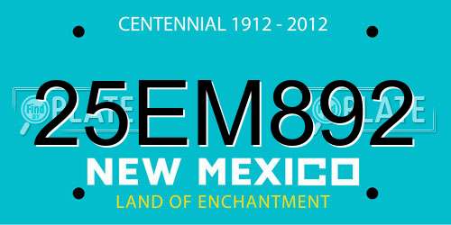 25EM892 New Mexico License Plate