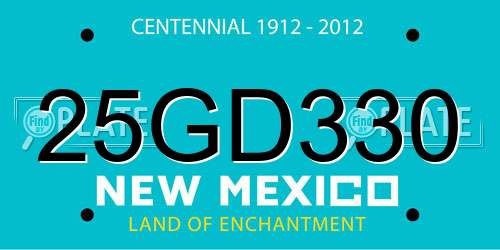 25GD330 New Mexico License Plate
