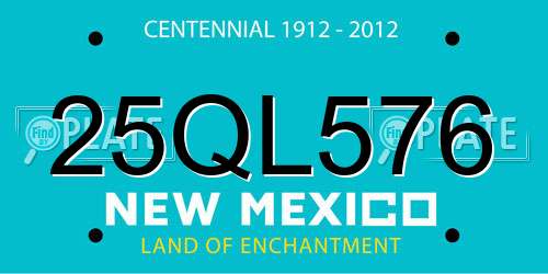 25QL576 New Mexico License Plate