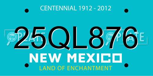 25QL876 New Mexico License Plate