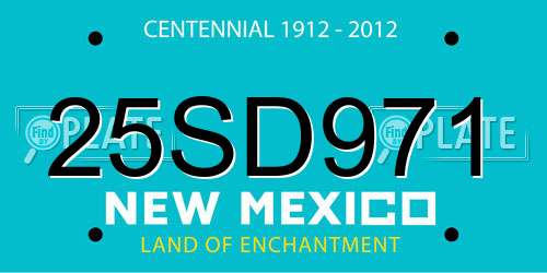 25SD971 New Mexico License Plate