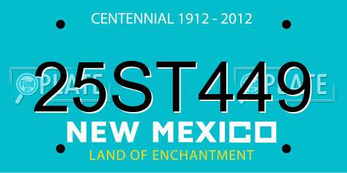 25ST449 New Mexico License Plate