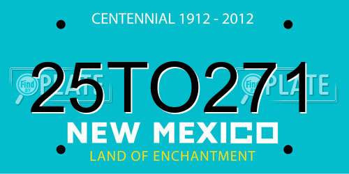 25TO271 New Mexico License Plate