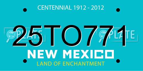 25TO771 New Mexico License Plate