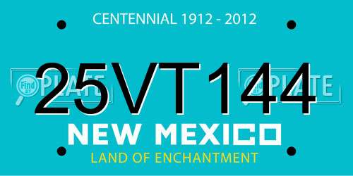 25VT144 New Mexico License Plate