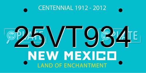 25VT934 New Mexico License Plate