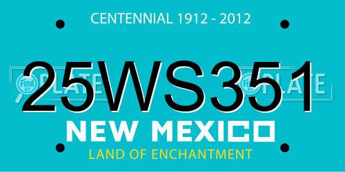 25WS351 New Mexico License Plate