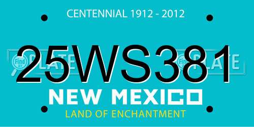 25WS381 New Mexico License Plate
