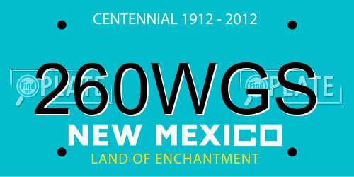 260WGS New Mexico License Plate