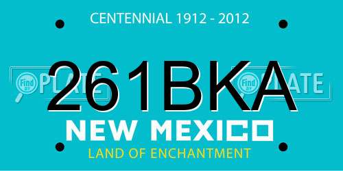 261BKA New Mexico License Plate