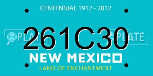 261C30 New Mexico License Plate