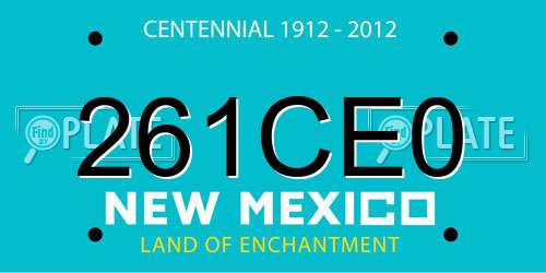 261CE0 New Mexico License Plate