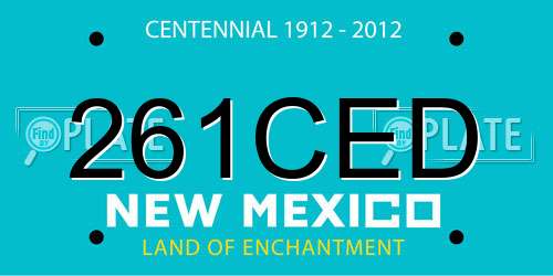 261CED New Mexico License Plate