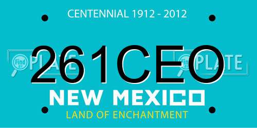261CEO New Mexico License Plate