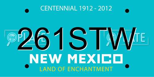 261STW New Mexico License Plate