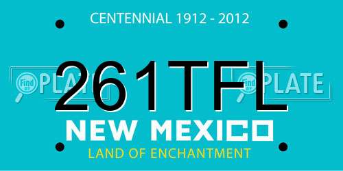 261TFL New Mexico License Plate