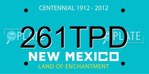 261TPD New Mexico License Plate