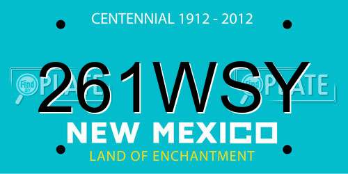 261WSY New Mexico License Plate