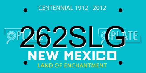 262SLG New Mexico License Plate