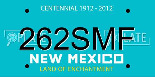 262SMF New Mexico License Plate