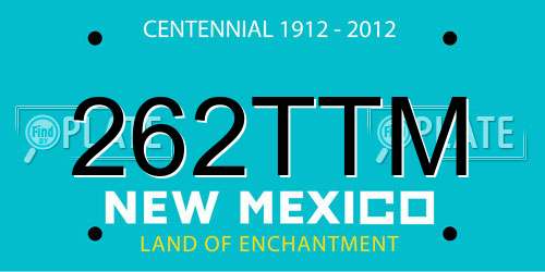 262TTM New Mexico License Plate