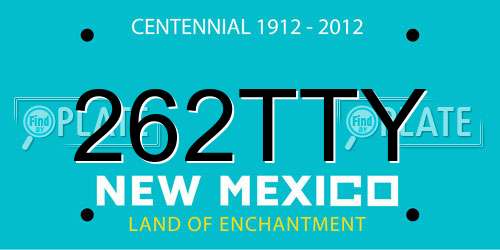 262TTY New Mexico License Plate