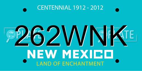 262WNK New Mexico License Plate