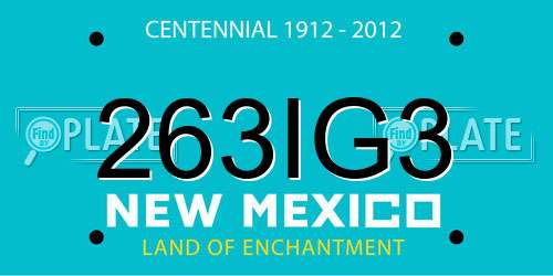 263IG3 New Mexico License Plate