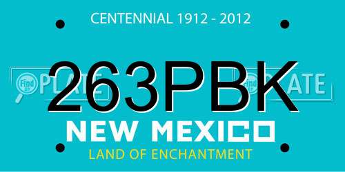 263PBK New Mexico License Plate