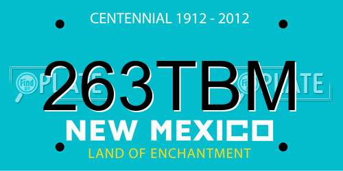 263TBM New Mexico License Plate