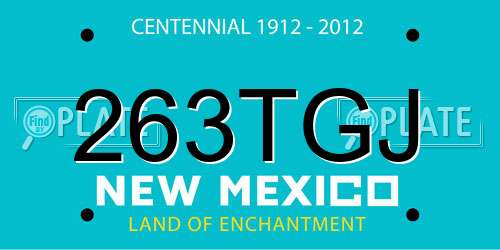 263TGJ New Mexico License Plate