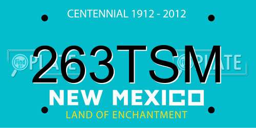 263TSM New Mexico License Plate