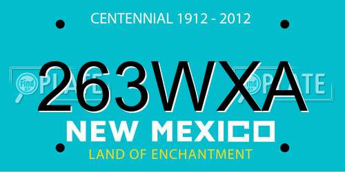 263WXA New Mexico License Plate
