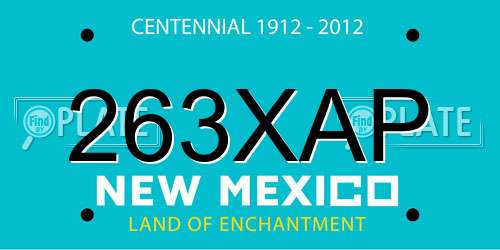263XAP New Mexico License Plate