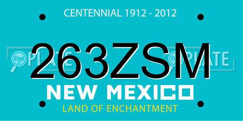 263ZSM New Mexico License Plate