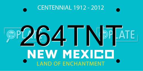 264TNT New Mexico License Plate
