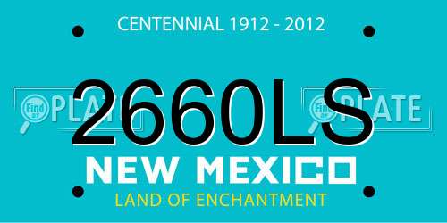 2660LS New Mexico License Plate