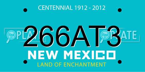 266AT3 New Mexico License Plate