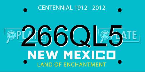 266QL5 New Mexico License Plate
